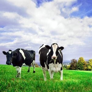 Retail Food Group dairy facility closed after workers test positive for COVID-19 Retail Food Group dairy facility closed after workers test positive for COVID-19